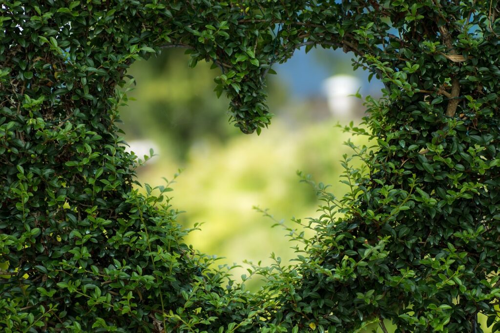 heart, leaves, foliage, brand essence